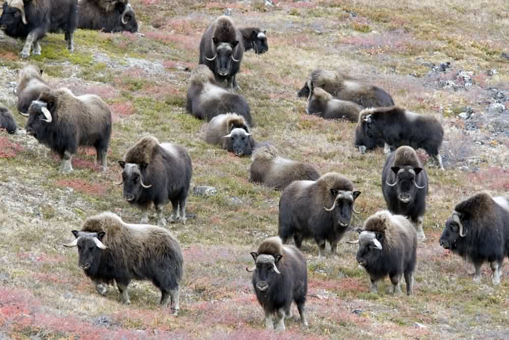 'photo copyright Wendy Broekx - all rights reserved'