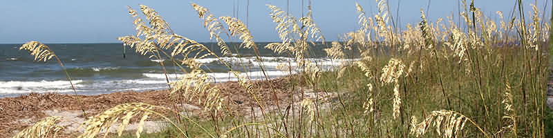 Caribbean Ecotourism